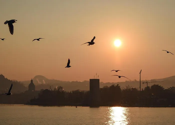 Le Rondinelle דירה